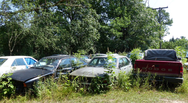 Illustration for article titled A Michigan Town Is Forcing This Man To Sell 20 Old Cars Off His Property Every Month